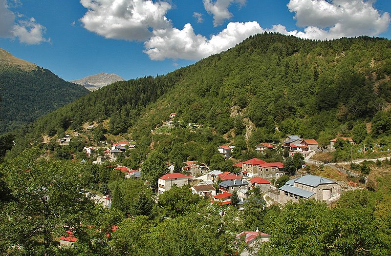 6. katafyto-thodoris-kliafas